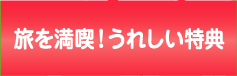 ɊT肾