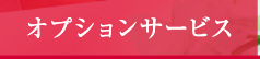 オプションサービス